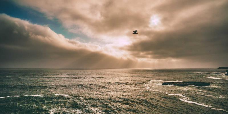 宜春丰城宝剑传奇：从干将莫邪传说到千年工艺传承，探寻本土文化之魂