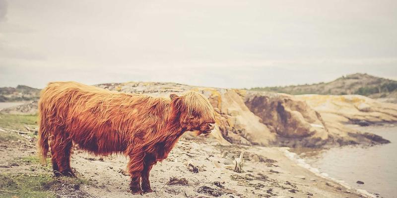 宜春宜丰天宝古村：江南民居活化石，探寻耕读传家的千年文脉