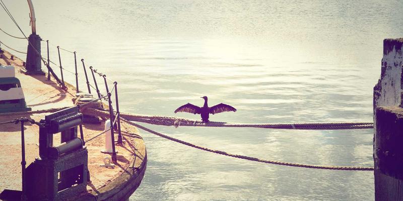 宜春本地人带你探秘樟树中国药都：从药材市场到养生之旅的全攻略