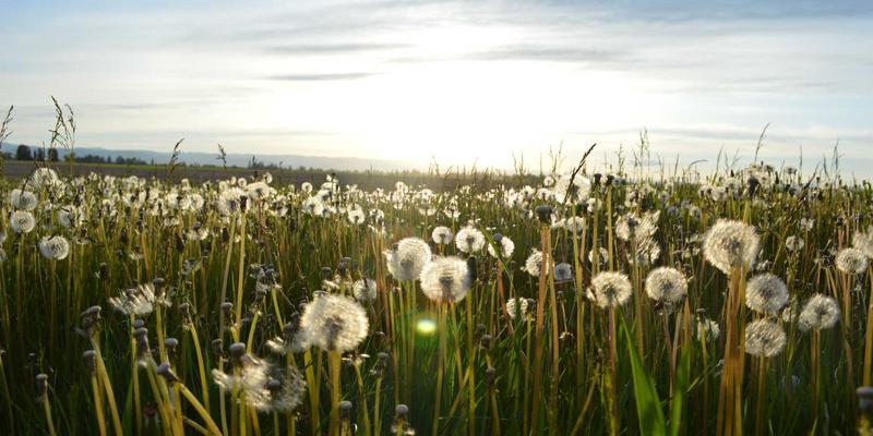宜春袁州南庙武术寻根：五百年民间武学如何融入现代养生与便民生活